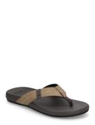 Cushion Phantom 2.0 Shoes Flip Flops Multi/patterned REEF