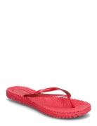 Flip Flop With Glitter Shoes Summer Shoes Sandals Flip Flops Pink Ilse...