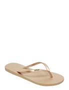 Viva Iv Shoes Summer Shoes Sandals Flip Flops Gold Roxy