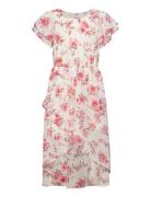 Dress High And Low Chiffon Dresses & Skirts Dresses Casual Dresses Sho...