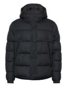 Omaris Fôret Jakke Black BOSS