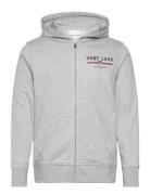 Graphic Full Zip Hoodie Tops Sweat-shirts & Hoodies Hoodies Grey GANT
