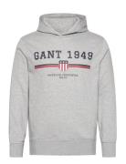 Graphic Hoodie Tops Sweat-shirts & Hoodies Hoodies Grey GANT