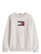 Tommy Script Flag Sweatshirt Tops Sweat-shirts & Hoodies Sweat-shirts ...
