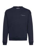 Mini Corp C-Neck Sweatshirt Tops Sweat-shirts & Hoodies Sweat-shirts N...