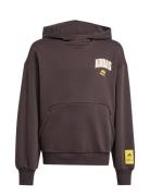 J Sim Hd Tops Sweat-shirts & Hoodies Hoodies Black Adidas Sportswear