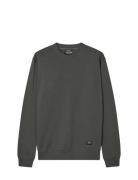 Light Terry Asker Sweat Tops Sweat-shirts & Hoodies Sweat-shirts Grey ...