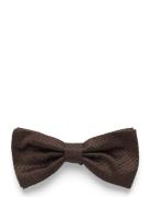 Uitta Sløyfe Brown Tiger Of Sweden