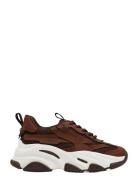 Possession-E Lave Sneakers Brown Steve Madden