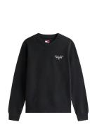 Tjw Reg Ess Logo 1 Crew Ext Tops Sweat-shirts & Hoodies Sweat-shirts B...