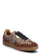 Emporia Lave Sneakers Brown Steve Madden