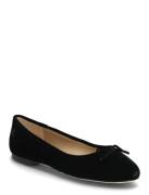 Jayna Iii Velvet Flat Sko Flate Black Lauren Ralph Lauren