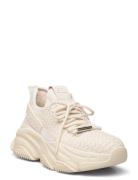 Project Lave Sneakers Cream Steve Madden
