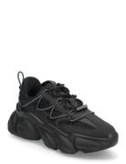 Spectator Lave Sneakers Black Steve Madden