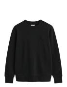 Reg Tonal Shield C-Neck Sweat Tops Sweat-shirts & Hoodies Sweat-shirts...