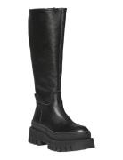 Chipp Høye Støvletter Black Steve Madden