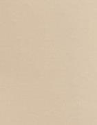 Magic Bodyfashion - Beige - Dream Invisibles Brazilian x2