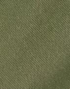 JJXX - Grønn - Jxpoppy Hw Shorts Pnt Sn
