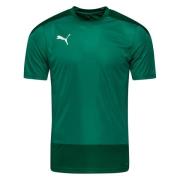 PUMA Trenings T-Skjorte teamGOAL 23 - Grønn/Grønn