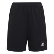 adidas Treningsshorts Entrada 22 - Sort Barn