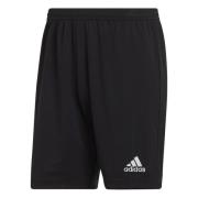 adidas Shorts Entrada 22 - Sort