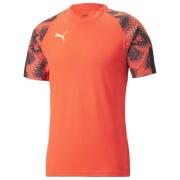 PUMA Trenings T-Skjorte IndividualFINAL VM - Rød/Sort