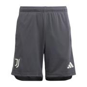 Juventus Tredjeshorts 2023/24