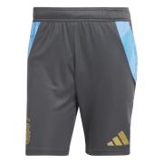 Argentina Treningsshorts Tiro 24 Copa America 2024 - Grå