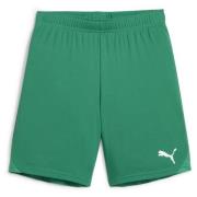 teamGOAL Shorts Jr Sport Green-PUMA White