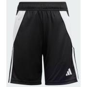 Adidas Tiro 24 Shorts Kids