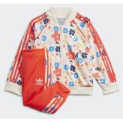 Adidas Original Floral SST Track Suit