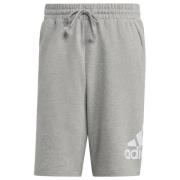 Adidas Essentials Big Logo French Terry Shorts