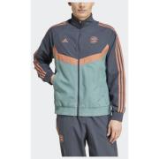 Adidas FC Bayern Seasonal Track Top