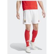 Adidas Benfica 24/25 Home Shorts