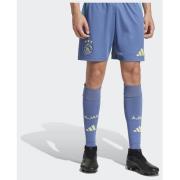 Adidas Ajax Amsterdam 24/25 Away Shorts