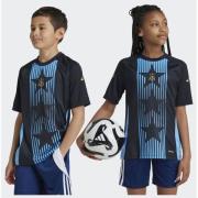 Adidas Argentina Pre-Match Jersey