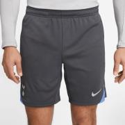 Tottenham Treningsshorts Dri-FIT Strike - Grå/Turkis/Grå