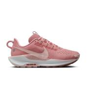 Nike Løpesko Pegasus Trail 5 - Pink Oxford/Red Stardust Dame