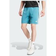 Adidas Tiro 24 Training Shorts