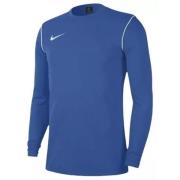 Nike Treningsskjorte Dri-FIT Park 20 Crew - Blå/Hvit