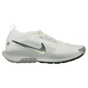 Nike Løpesko Pegasus Trail 5 Gore-Tex - Hvit/Sølv/Sequoia