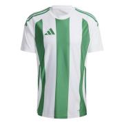 adidas Spillerdrakt Striped 24 - Hvit/Grønn