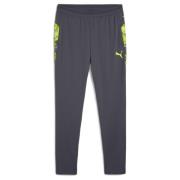 PUMA Treningsbukser IndividualCUP - Galaktisk grå/Lime Grønn