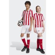 Adidas Olympiacos FC Anniversary Shorts Kids