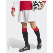 Adidas Original Ajax Amsterdam Anniversary Shorts