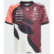Adidas Mercedes - AMG Petronas Formula One Team Driver Jersey Replica ...