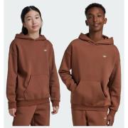Adidas Originals Graphic Hoodie Kids