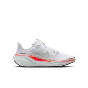Nike Løpesko Air Zoom Pegasus 41 - Hvit/Metallisk sølv Barn