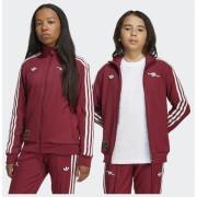 Adidas Originals Arsenal Terrace Icons Track Top Kids