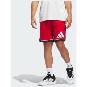 Adidas adidas Basketball Badge of Sport Shorts